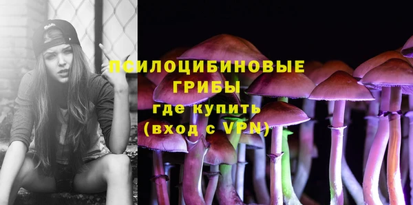 шишки Гусиноозёрск