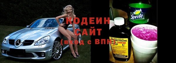 шишки Гусиноозёрск