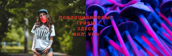 шишки Гусиноозёрск