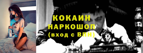 шишки Гусиноозёрск