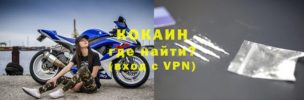 шишки Гусиноозёрск