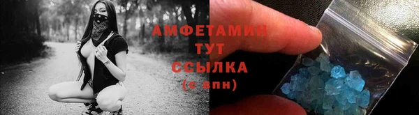 шишки Гусиноозёрск