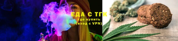 шишки Гусиноозёрск
