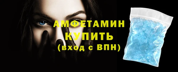 шишки Гусиноозёрск
