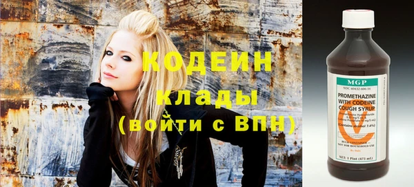 шишки Гусиноозёрск
