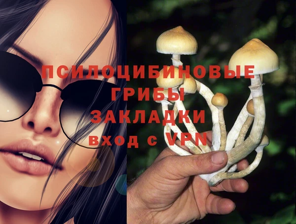 шишки Гусиноозёрск