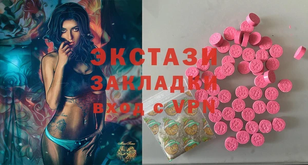 шишки Гусиноозёрск