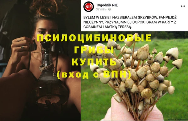 кристаллы Гусь-Хрустальный