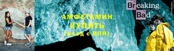 шишки Гусиноозёрск