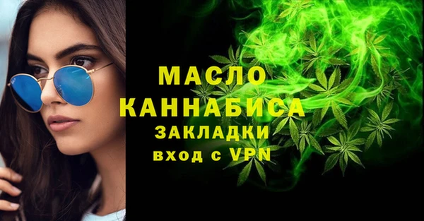 шишки Гусиноозёрск
