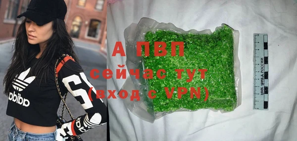 шишки Гусиноозёрск
