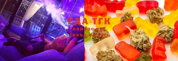 шишки Гусиноозёрск