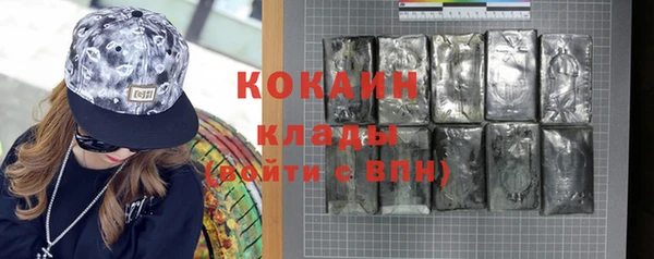шишки Гусиноозёрск