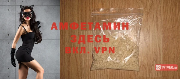 шишки Гусиноозёрск