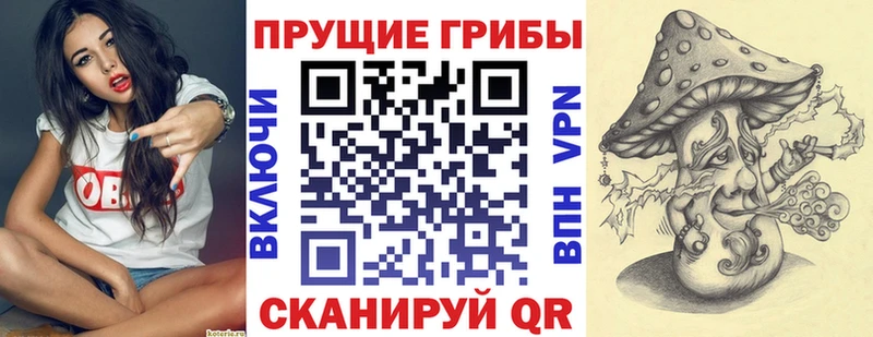 Псилоцибиновые грибы Cubensis Купить Реж