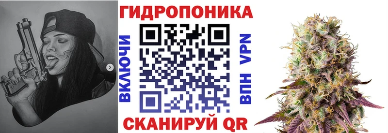 Бошки Шишки семена  Купить закладки  Реж 